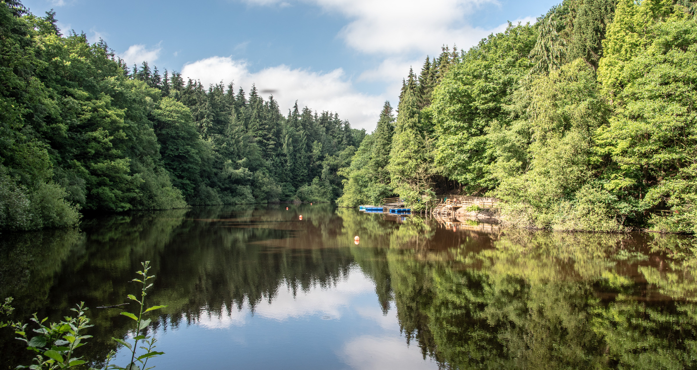 Woodland Lake