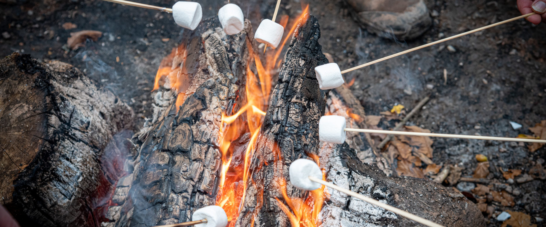 Marsh mallows around the fire